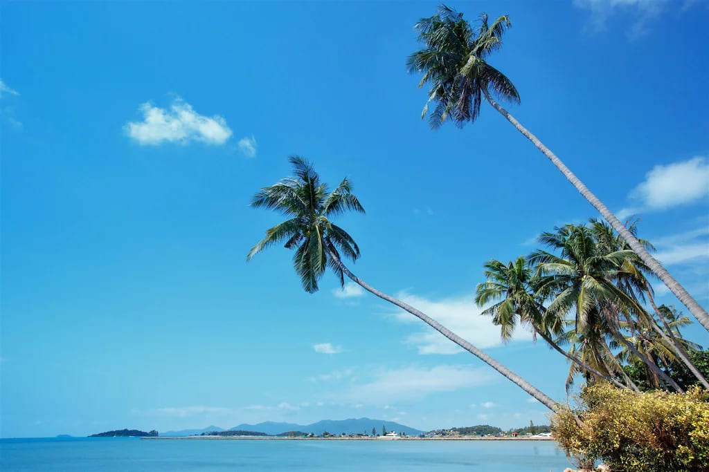 บรรยากาศ Zayn Samui